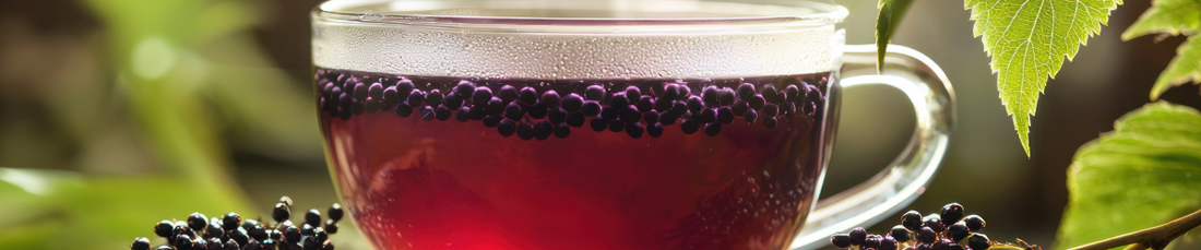 Elderberry and Weight Loss: A Hidden Ally for Aging Well