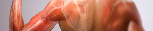 Build Muscle to Slash Your Diabetes Risk